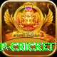 2022 world cup cricket Games (Casino & Earning) Plus v5.2.7