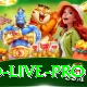 92coco - Live Pro