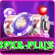 9pkr VIP v4.3.1