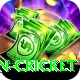 afghanistan cricket Pro1 v3.2.4
