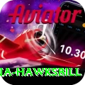 antigua hawksbill Turbo v1.8.3
