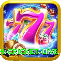 bangladesh cricket live Pro1 v3.3.3