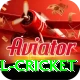 bbl cricket Apps (Tools & Injectors) Max v2.6.7