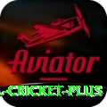 bbl cricket - Max v5.0.3