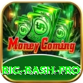big bash Premium - Casino & Slots