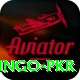 Bingo PKR Plus Pro v3.2.2