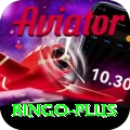bingo Pro1 v4.8.2