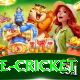 bpl live cricket Master v1.6.4