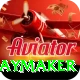 cam playmaker VIP Pro v4.3.3
