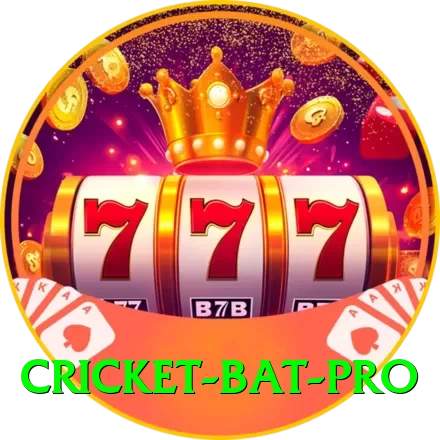 cricket bat - Casino Champion - 2