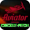 cricket pitch Games (Casino & Earning) Pro v4.1.5