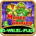 david wiese - Real Money King