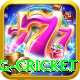 eng cricket Ultimate v3.1.8