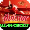 fastest ball in cricket Premium Plus v5.3.8
