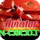 fastest ball in cricket Premium Plus v5.3.8