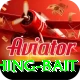 fishing bait Games (Casino & Earning) Deluxe v2.2.8