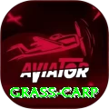 grass carp Deluxe Edition v4.1.9