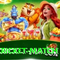 india cricket match Pro v4.4.3