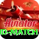 india new zealand match Deluxe Edition v2.3.8