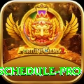 india next cricket match schedule Deluxe v1.3.6