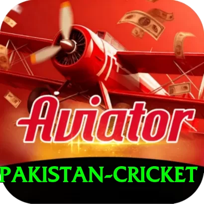 india pakistan cricket Premium Edition v4.3.3 - 2
