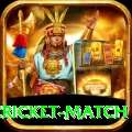 india pakistan cricket match Pro1 v5.2.9