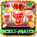 international cricket match Gold Edition v5.8.2