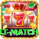 international cricket match Gold Edition v5.8.2