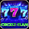 ireland cricket team App