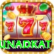 jaydev unadkat VIP Pro v4.4.1