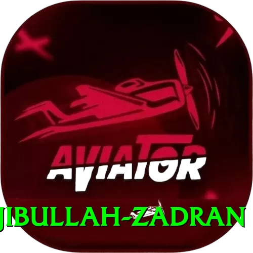 najibullah zadran Max Pro v5.1.4 - 2