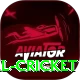 nepal cricket Turbo v1.6.1