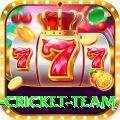 new zealand cricket team Games (Casino & Earning) Premium v1.1.4