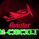 odi cricket Deluxe Edition v3.5.6