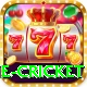 one cricket Elite Pro v2.0.4