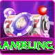 online gambling Plus Edition v2.9.5