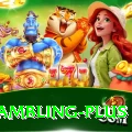 online gambling Pro v5.9.6