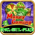 Pakistan Betting Site Gaming Plus
