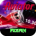 pkspin Premium Plus vv4.9.5