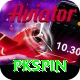 pkspin Premium Plus vv4.9.5
