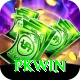 PKWin Deluxe vv1.4.3