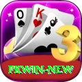PKWin Mobile Pro