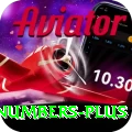 powerball lottery numbers Bonus Prime v4.8.7