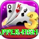 red snapper fish Apps (Tools & Injectors) Turbo v4.3.9