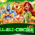 risk free bet cricket Apps (Tools & Injectors) Master v3.1.8