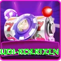 rudi koertzen VIP Pro v4.9.5