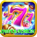 samar juniper forest Premium Plus v2.1.0