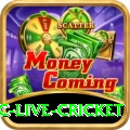 smartcric live cricket Turbo v2.8.5