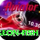 sturgeon fish Plus v2.5.6