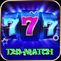 t20 match Deluxe Edition v4.5.4